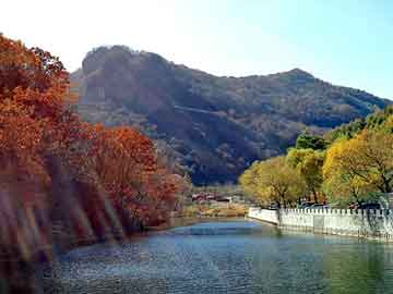 澳门二四六天天彩图库，蓝山seo建站